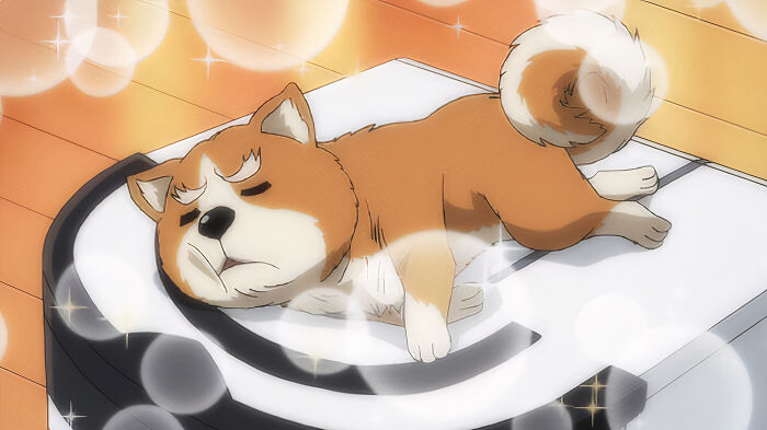 Oda Cinnamon Nobunaga (Oda Cinnamon Nobunaga)