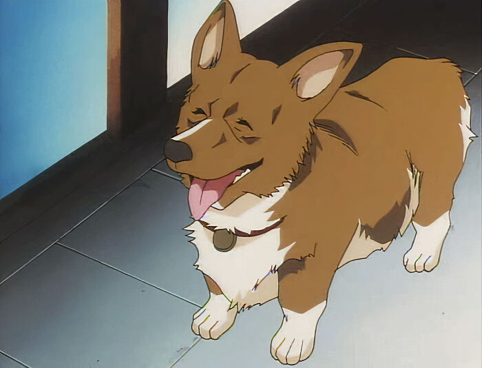 Ein (Cowboy Bebop)