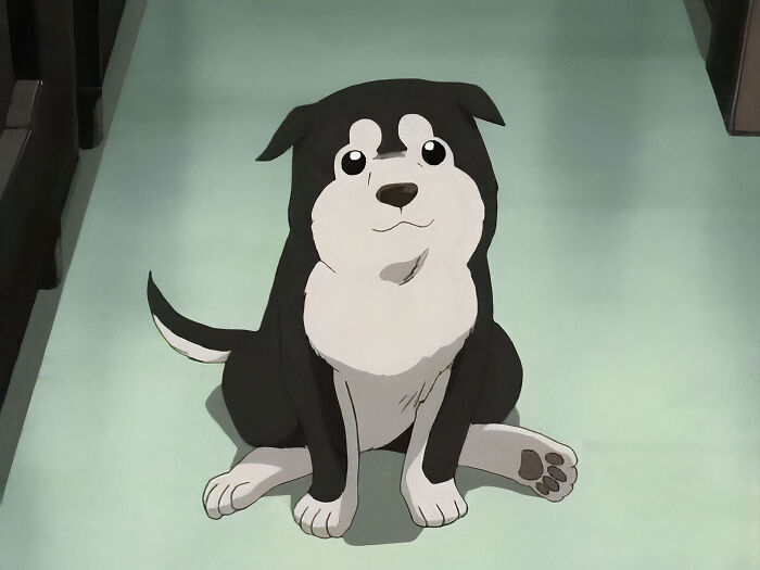 Black Hayate (Fullmetal Alchemist)