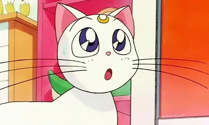 Artemis (Sailor Moon)