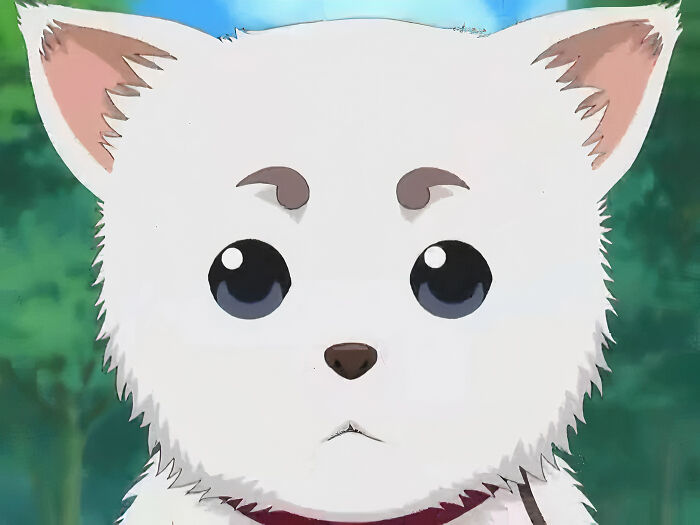 Sadaharu (Gintama)