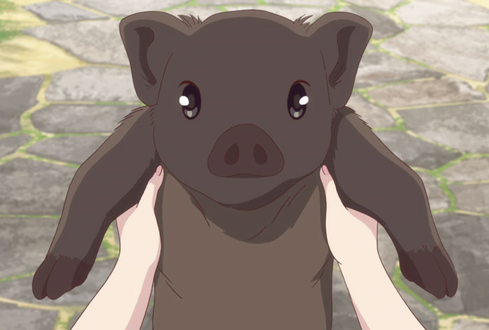 Kagura (Fruit Basket)