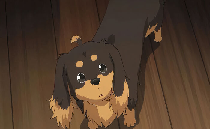 Kazuhito (Dog & Scissors)