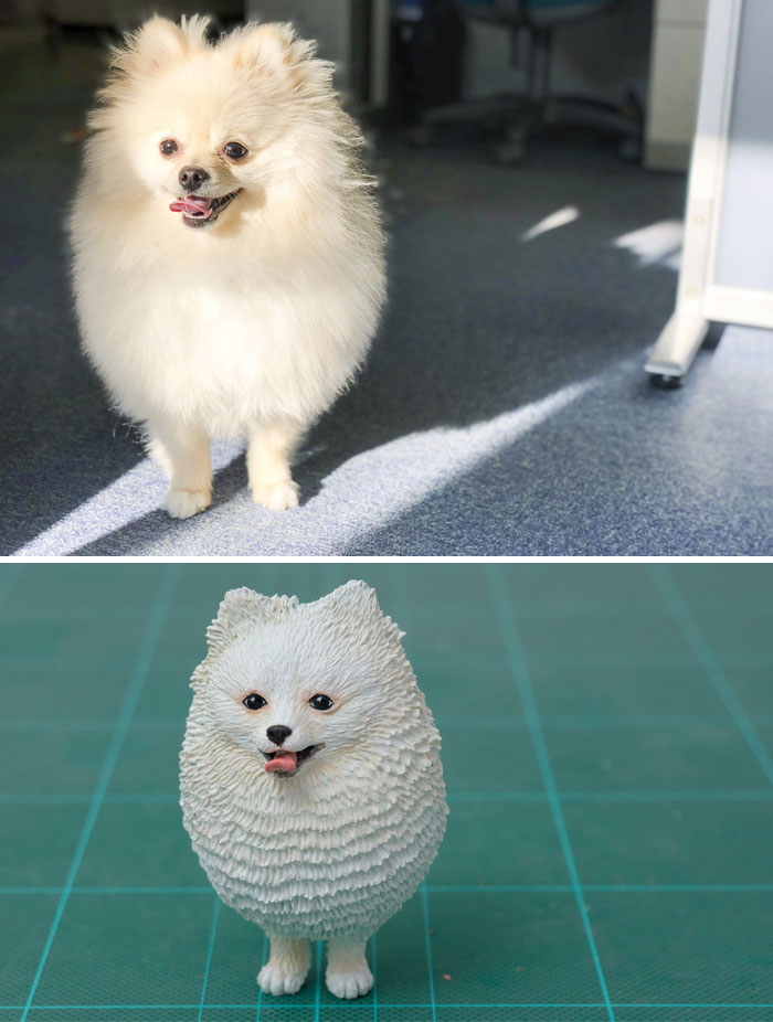 Animals-Funny-Sculptures-Meetissai