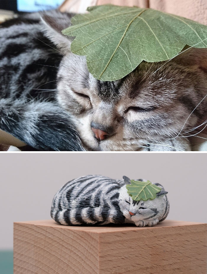 Animals-Funny-Sculptures-Meetissai