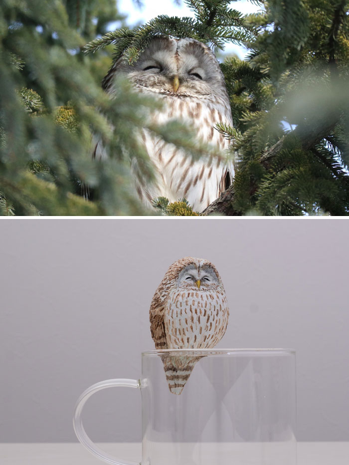 Animals-Funny-Sculptures-Meetissai