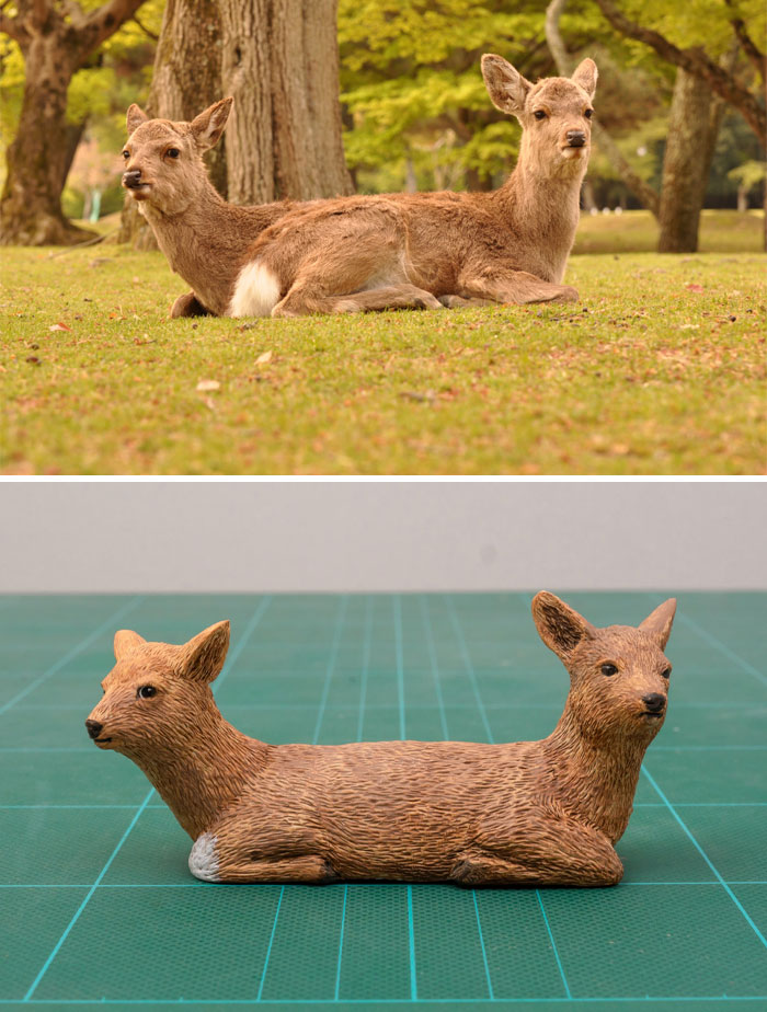 Animals-Funny-Sculptures-Meetissai
