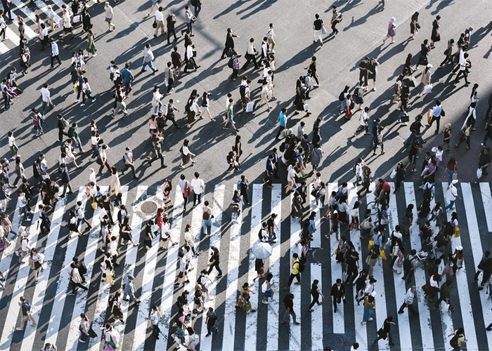 Aerial view of crowds crossing a busy zebra crosswalk, illustrating diversity similar to animals that lack recognition.