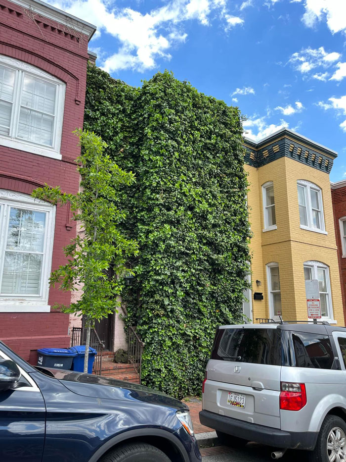 In Georgetown, Washington Dc. It Doesn’t Even Have A Way To See Outside Anymore! So Curious About The Inside