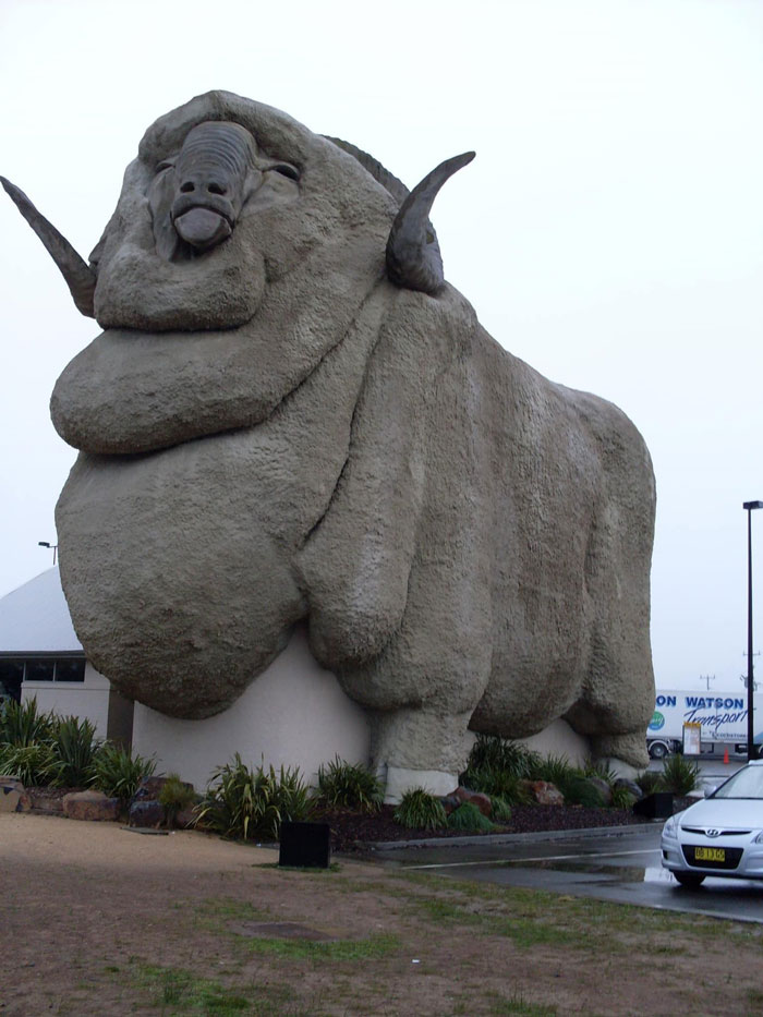 I Just Couldn’t Resist This When I Saw It On My Friends Newsfeed Yesterday- Australia