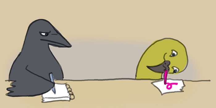 Netizens Are Loving This Humorous Tumblr Post Dedicated To The Intellectual Contrast Between Crows And Keas