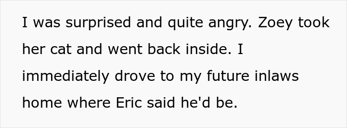Man Lets Out An Indoor Cat He Hates "Probably Hoping For Her To Get Lost", Fianc&eacute;e Goes Off At Him In Front Of His Whole Family
