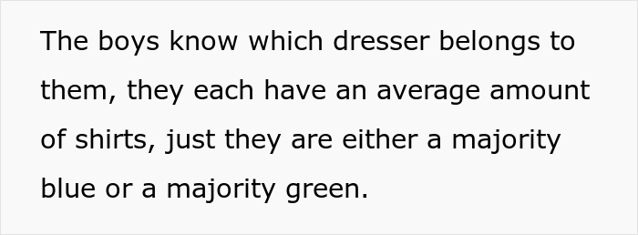 Mom Decided To Dress Her Twin Boys In Two Different Colors To Tell Them Apart, Cousin Goes "Ballistic" On Her