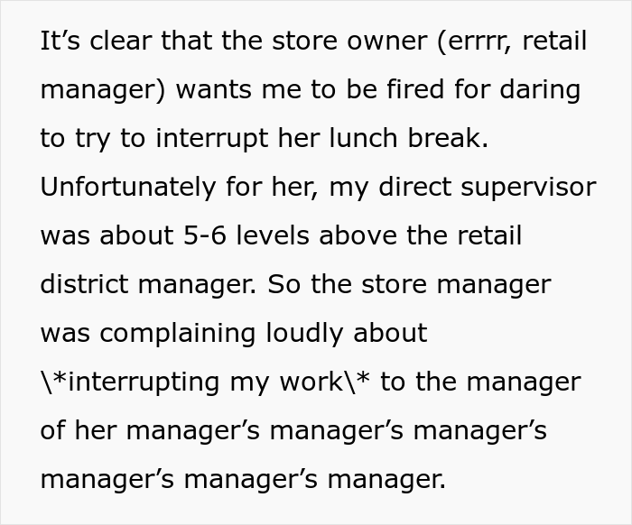 Store Manager Thinks The IT Guy Has No Right To Disrupt Her Lunch Break, Calls His Boss To Report On Him, Gets Fired Herself Instead
