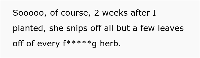 Person Livid After Neighbor&rsquo;s Girlfriend &ldquo;Helps Herself&rdquo; To Their Entire Herb Garden After Being Offered &ldquo;Some&rdquo;
