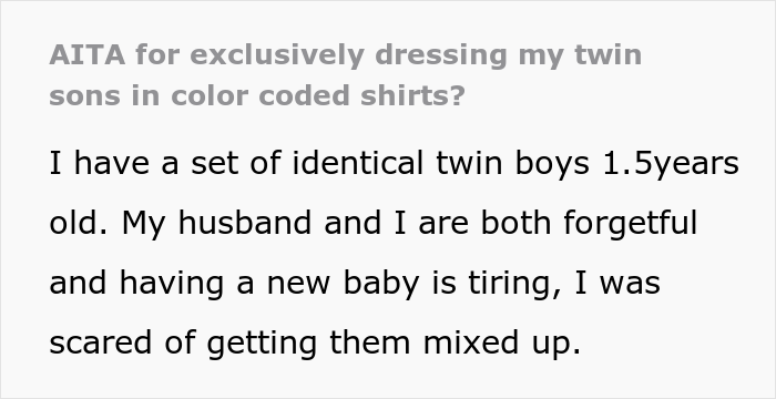 Mom Decided To Dress Her Twin Boys In Two Different Colors To Tell Them Apart, Cousin Goes "Ballistic" On Her