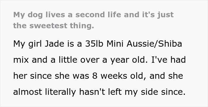 Dog Lover Shares How His Pup Lives A Heartwarming Double Life Visiting An Elderly Woman Every Day Dog Lover Shares How His Pup Lives A Heartwarming Double Life Visiting An Elderly Woman Every Day