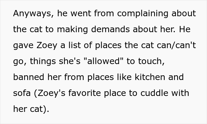 Man Lets Out An Indoor Cat He Hates "Probably Hoping For Her To Get Lost", Fianc&eacute;e Goes Off At Him In Front Of His Whole Family