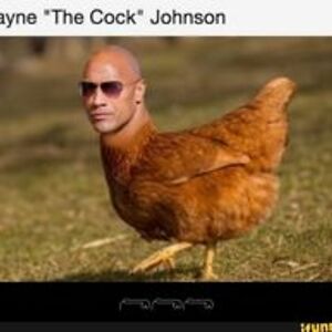 snapitsaturtle2 avatar