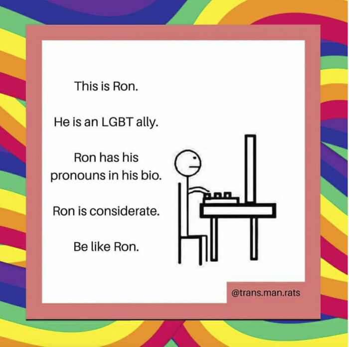 Stick figure meme about an LGBT ally named Ron, advocating for pronoun use.