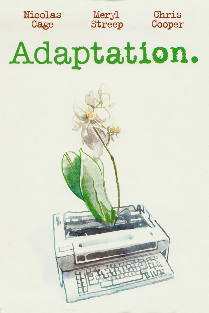 Adaptation
