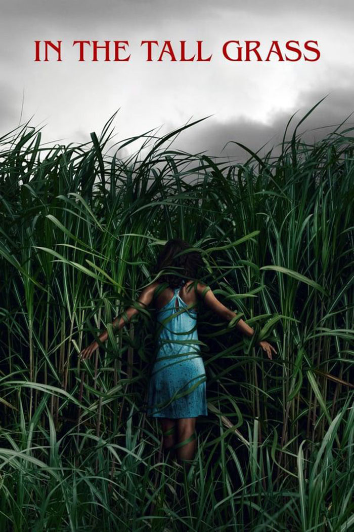 Poster for In the Tall Grass movie