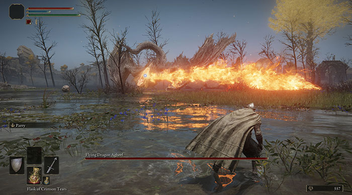 Elden Ring fighting boss gameplay