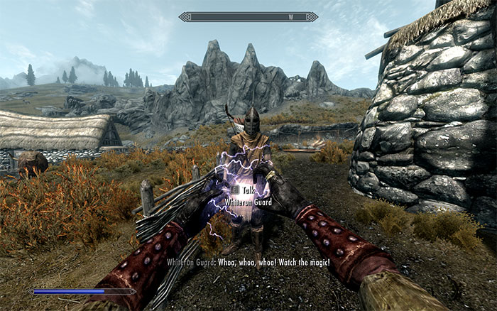 The Elder Scrolls V: Skyrim fighting gameplay