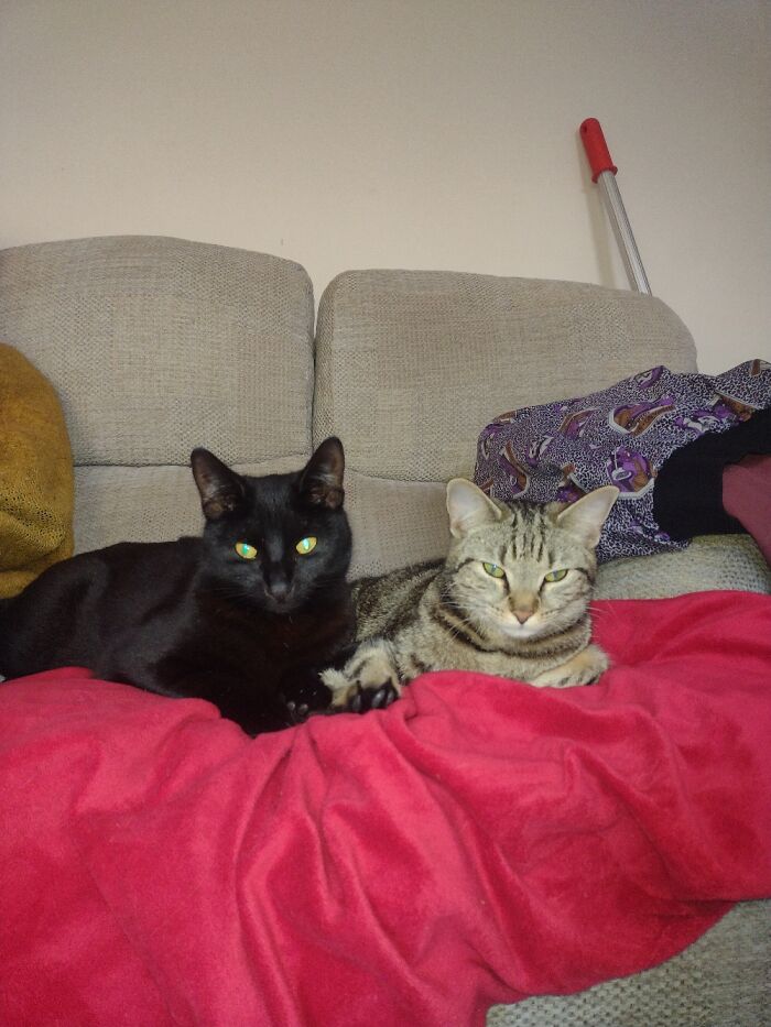 We Come Together, We Can Hold Your Hand Too