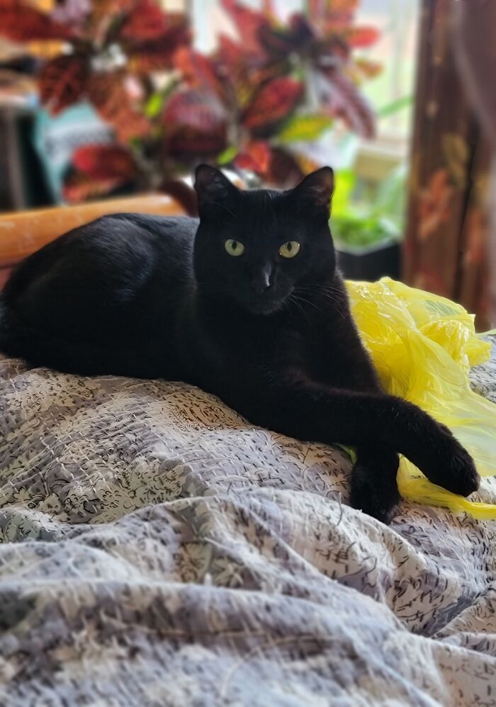 On A Scale Of 1-10, You're A Nine And I'm The One You Need.