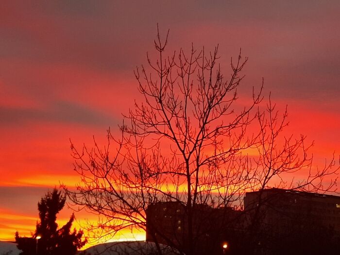 The Final Subset Of 2021, Prague, Czech Republic