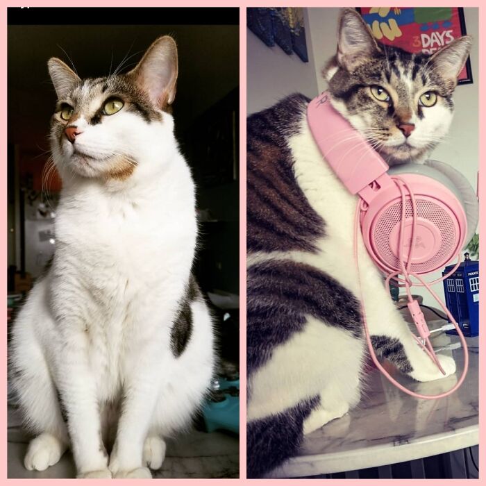 Lets Knock Things Off The Table Together.