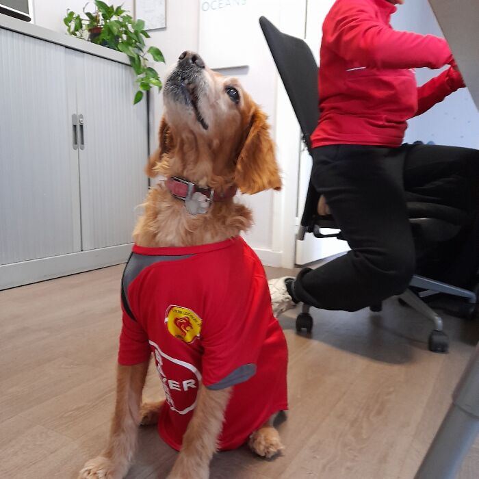 Let S Play Games, Ladies !