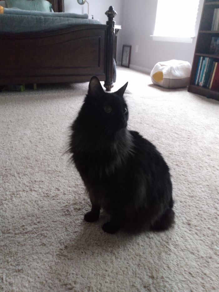 Just Look At This Sexy Man