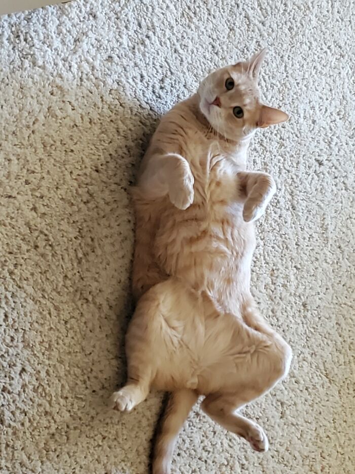 Charlie Here,check Me Out