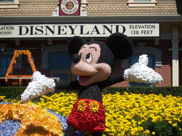 Internet Slams “Smug” Disneyland Paris Employee Who Interrupted A Marriage Proposal Internet Slams “Smug” Disneyland Paris Employee Who Interrupted A Marriage Proposal