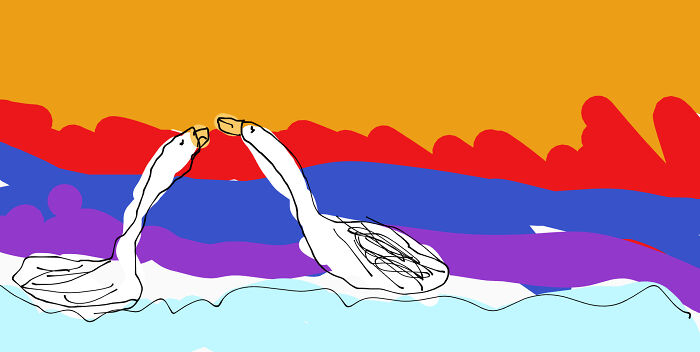 I Don't Know Why I Thought Swans Wouldbe Easiest