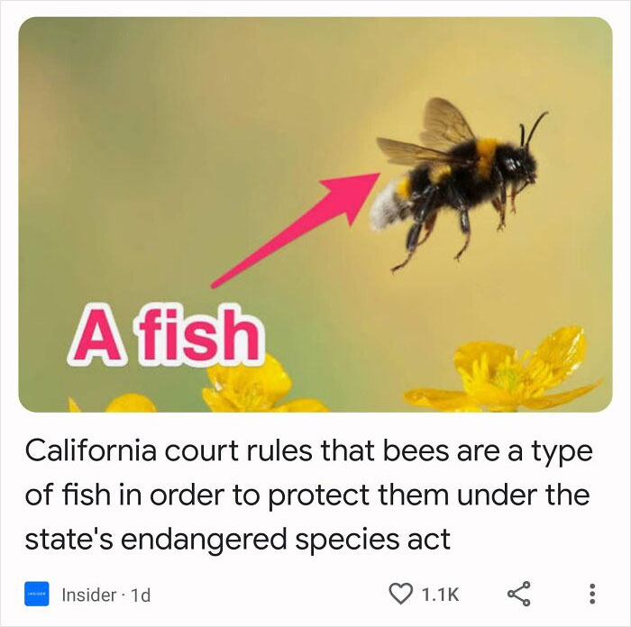 Capitalism-In-Decay-Posts