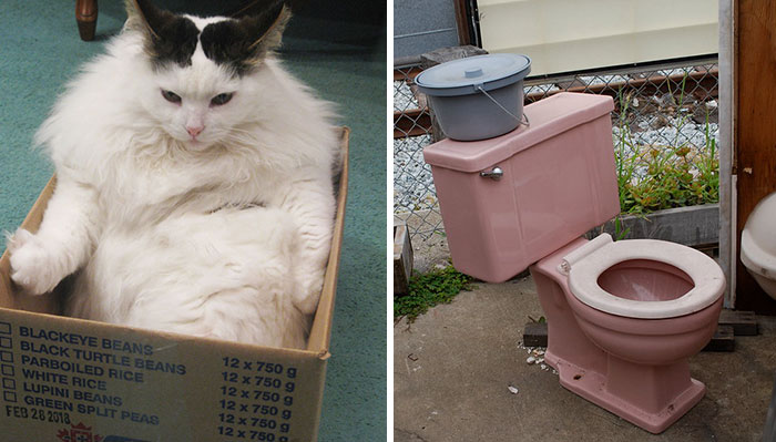 30 Cheap, Mass-Produced Items That Are Stupendously Well Engineered, According To Folks In This Online Thread