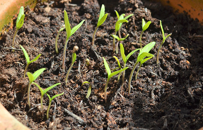 30 Times People Bought Ridiculously Cheap Things That Looked Sketchy But Turned Out To Be The Best Purchases