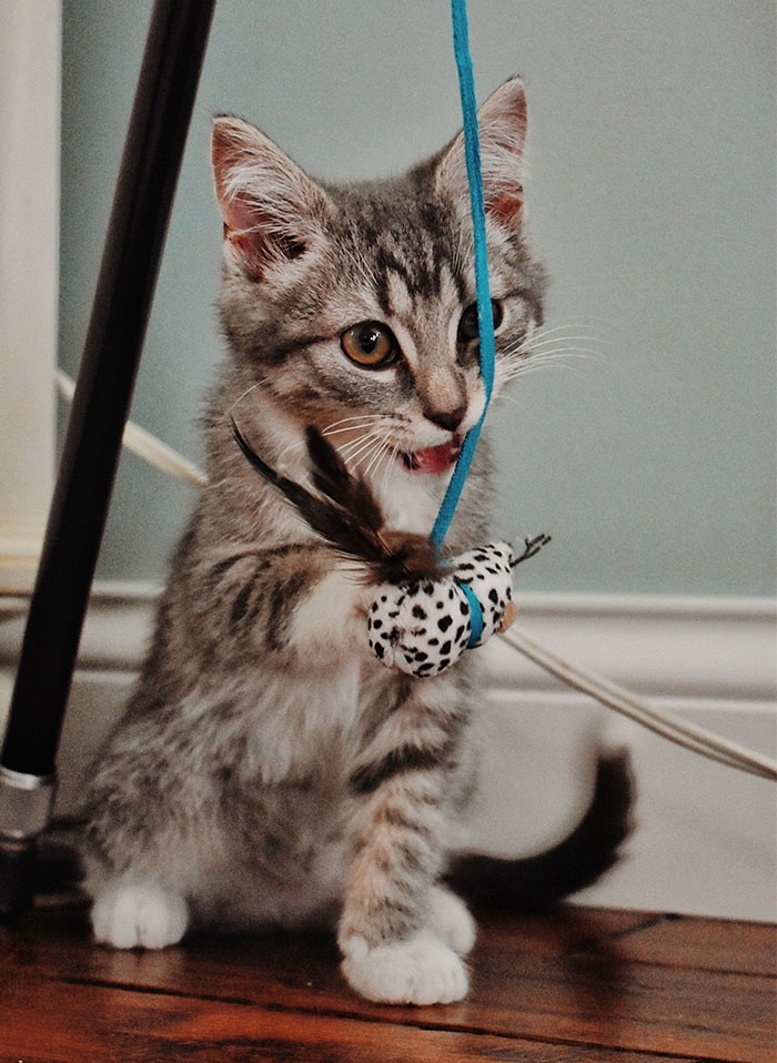 30 Times People Bought Ridiculously Cheap Things That Looked Sketchy But Turned Out To Be The Best Purchases