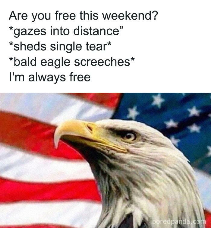 Funny-American-Culture-Jokes