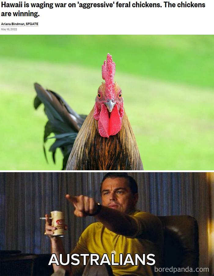 Funny-American-Culture-Jokes