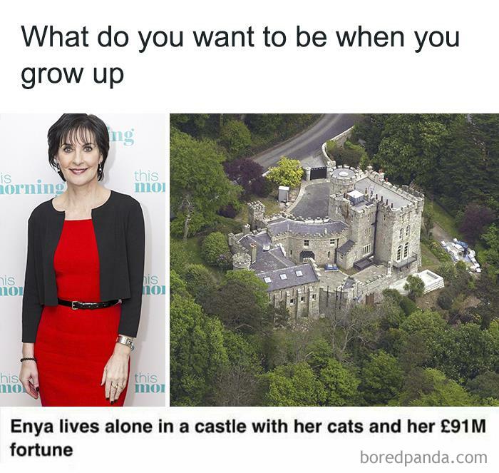 Introvert Nation meme showing Enya living alone in a castle with her cats and a £91M fortune.