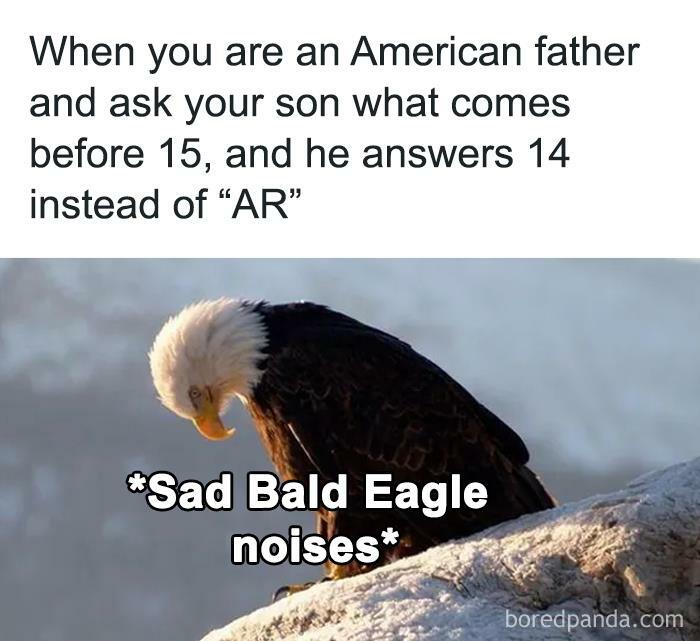 Funny-Very-American-Pics