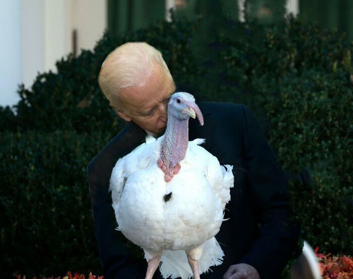 Funny-Very-American-Pics