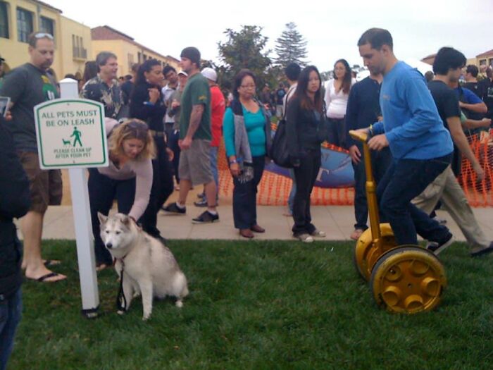 Images-With-A-Lot-Of-Stuff-Going-On