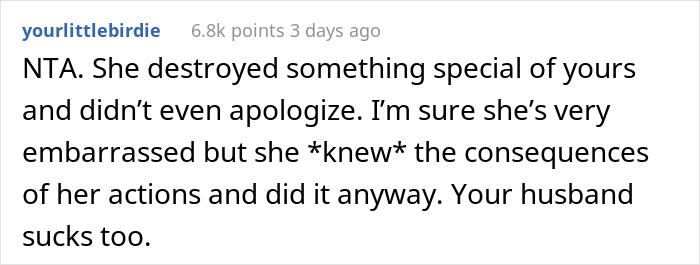 420ish Lbs Sister-In-Law Destroys Beloved Garden Swing After Being Asked Not To Sit In It Because Of Its Weight Limit, Family Drama Ensues