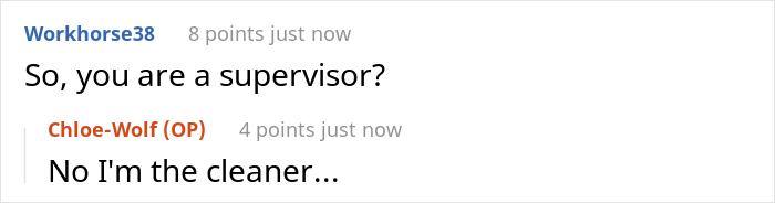 Housekeeper Getting $12/Hour Receives A Checklist With 85 Tasks She Has To Complete In An Hour To Not Get Fired