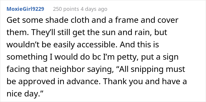 Person Livid After Neighbor&rsquo;s Girlfriend &ldquo;Helps Herself&rdquo; To Their Entire Herb Garden After Being Offered &ldquo;Some&rdquo;